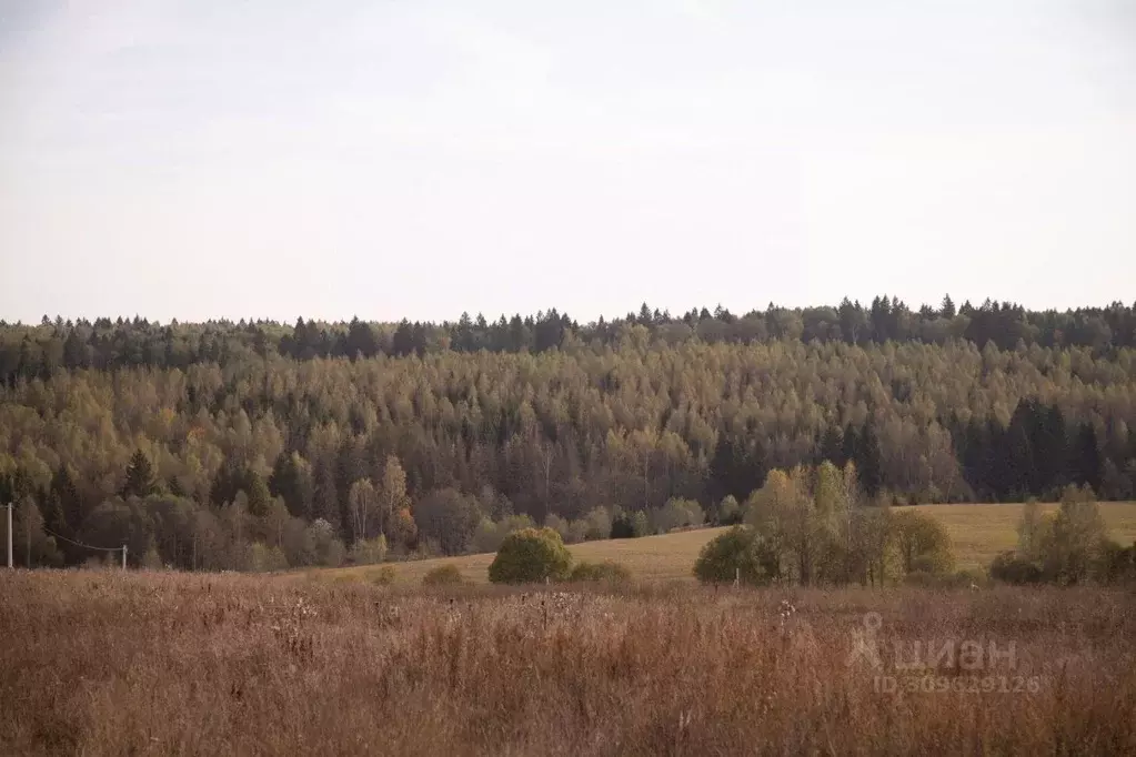 Участок в Московская область, Сергиево-Посадский городской округ, д. ... - Фото 1