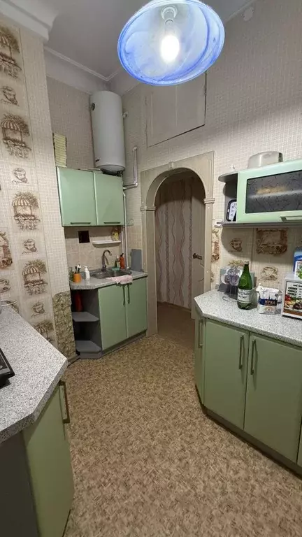 2-к кв. Ленинградская область, Гатчинский муниципальный округ, пос. ... - Фото 2