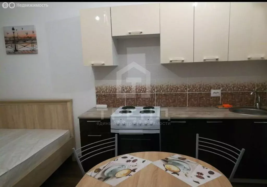 Квартира-студия: Мурино, Ручьёвский проспект, 9 (24.3 м) - Фото 2