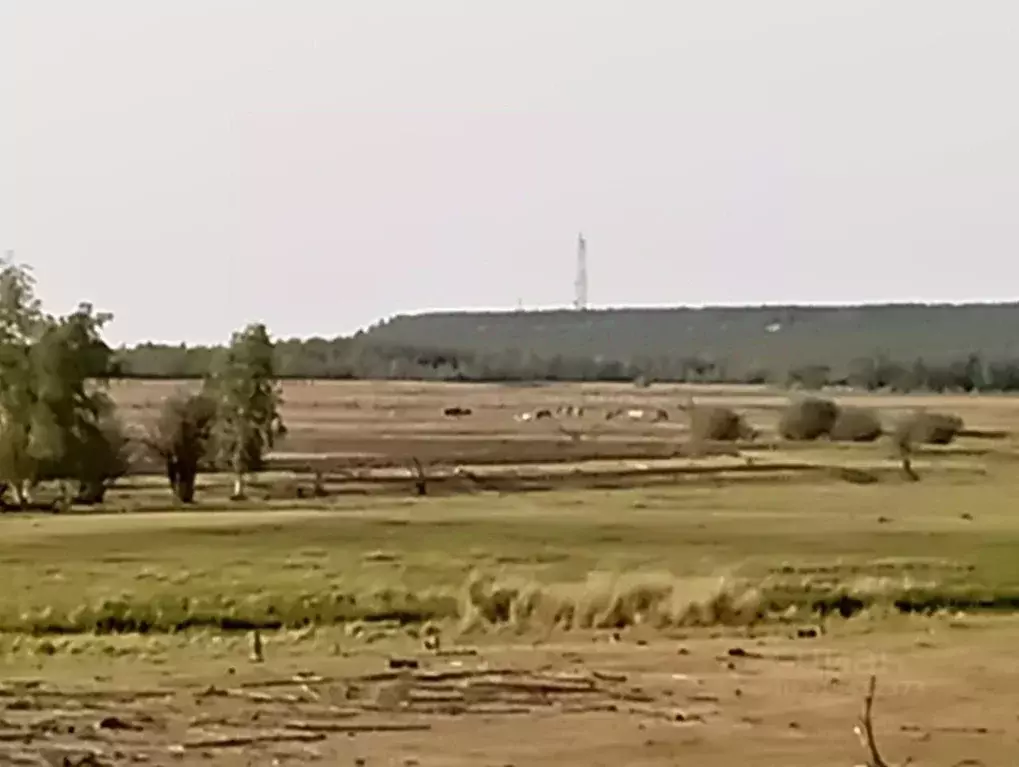 Участок в Саха (Якутия), Мегино-Кангаласский улус, Нерюктяйинский ... - Фото 0