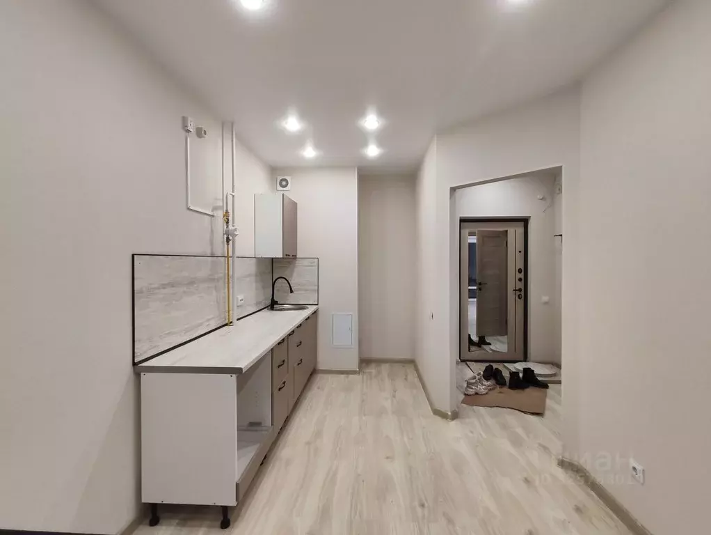 1-к кв. Псковская область, Псков Линейная ул., 89 (33.0 м) - Фото 1