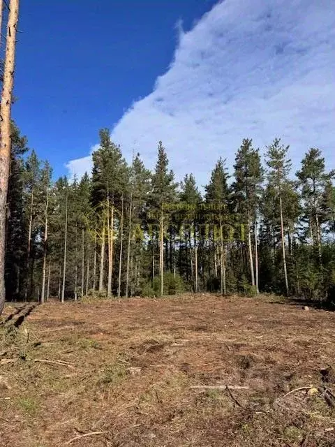 Участок в Свердловская область, Ревда ул. Облепиховая (10.0 сот.) - Фото 1