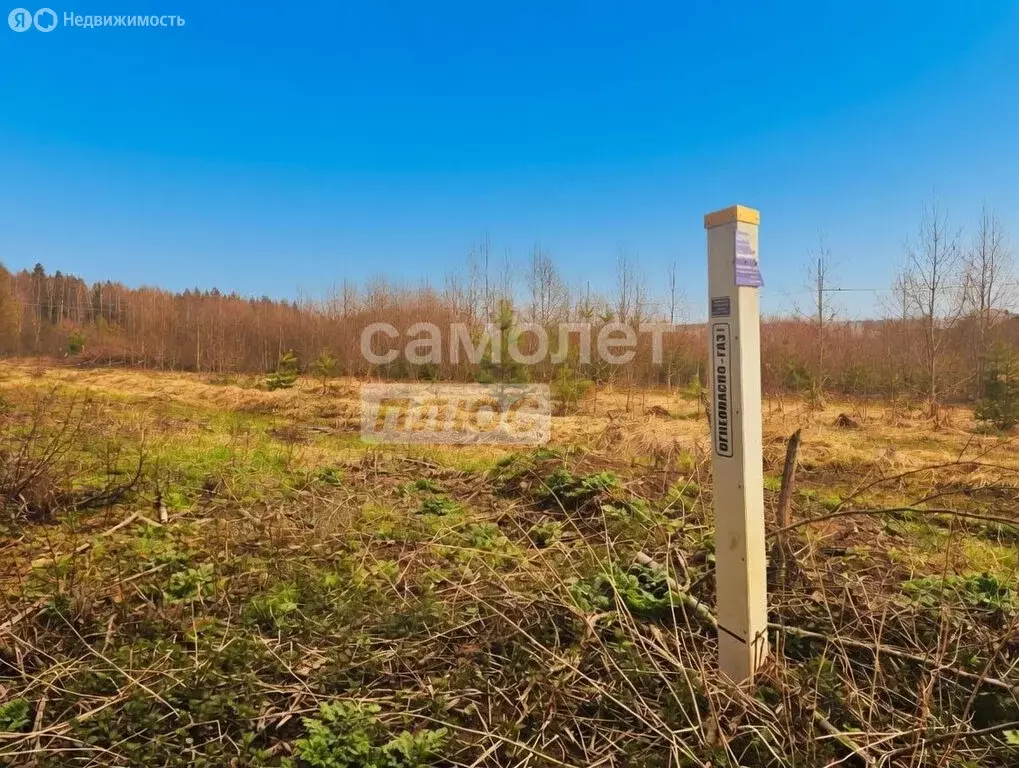 Участок в Наро-Фоминский городской округ, деревня Новинское, 31 (8 м) - Фото 1