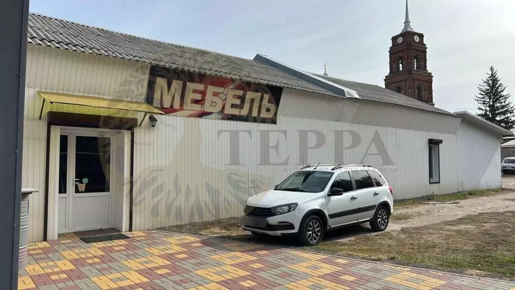 Торговая площадь в Воронежская область, Бутурлиновка Красная ул., 3 ... - Фото 2