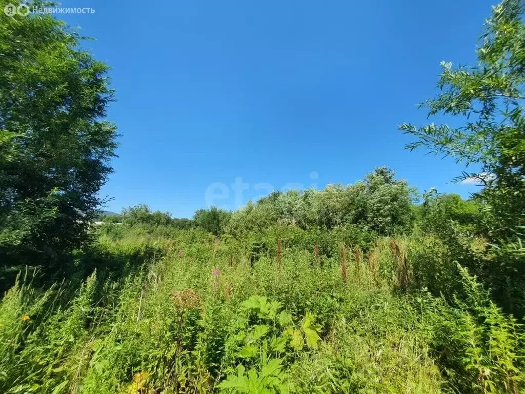 Участок в Камчатский край, Елизовский муниципальный округ, посёлок ... - Фото 1