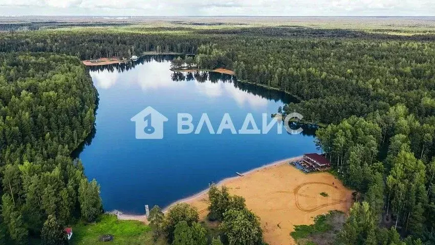Участок в Ленинградская область, Всеволожский район, Колтушское ... - Фото 1