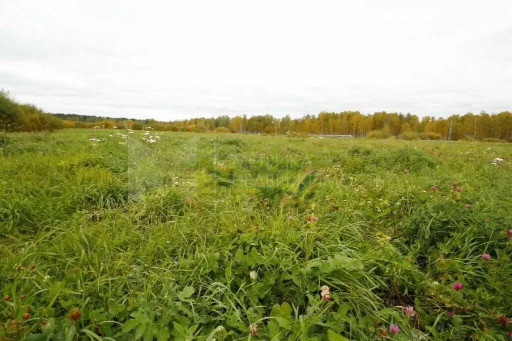 Участок в Тюменский район, село Мальково (7.5 м) - Фото 1