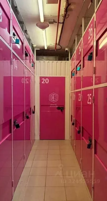 Торговая площадь в Москва Онежская ул., 34К2 (200 м) - Фото 2