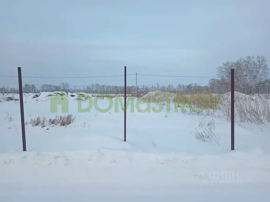 Участок в Новосибирская область, Новосибирский район, Верх-Тулинский ... - Фото 0