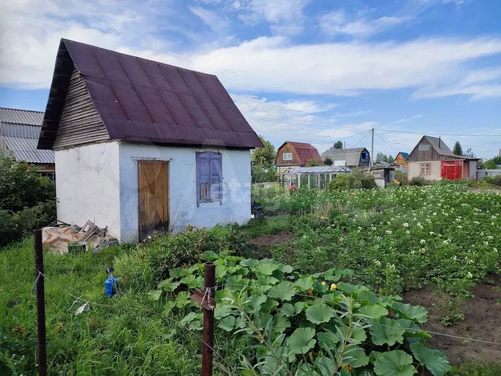 Купить Участок В Деревне Новосибирской Области