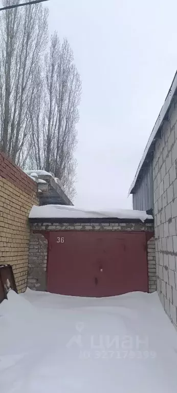 Гараж в Воронежская область, Воронеж ул. Кривошеина, 27а (20 м) - Фото 1