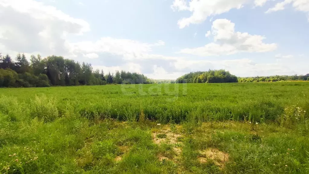 Участок в Калужская область, Село Ферзиково с/пос, с. Ферзиково  (15.0 ... - Фото 2