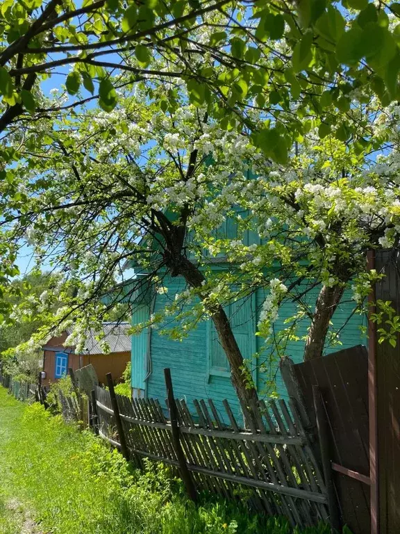 Дом в Алтайский край, Барнаул городской округ, пос. Плодопитомник ул. ... - Фото 0