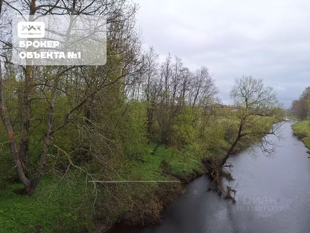 Участок в Ленинградская область, Ломоносовский район, Лебяженское ... - Фото 0