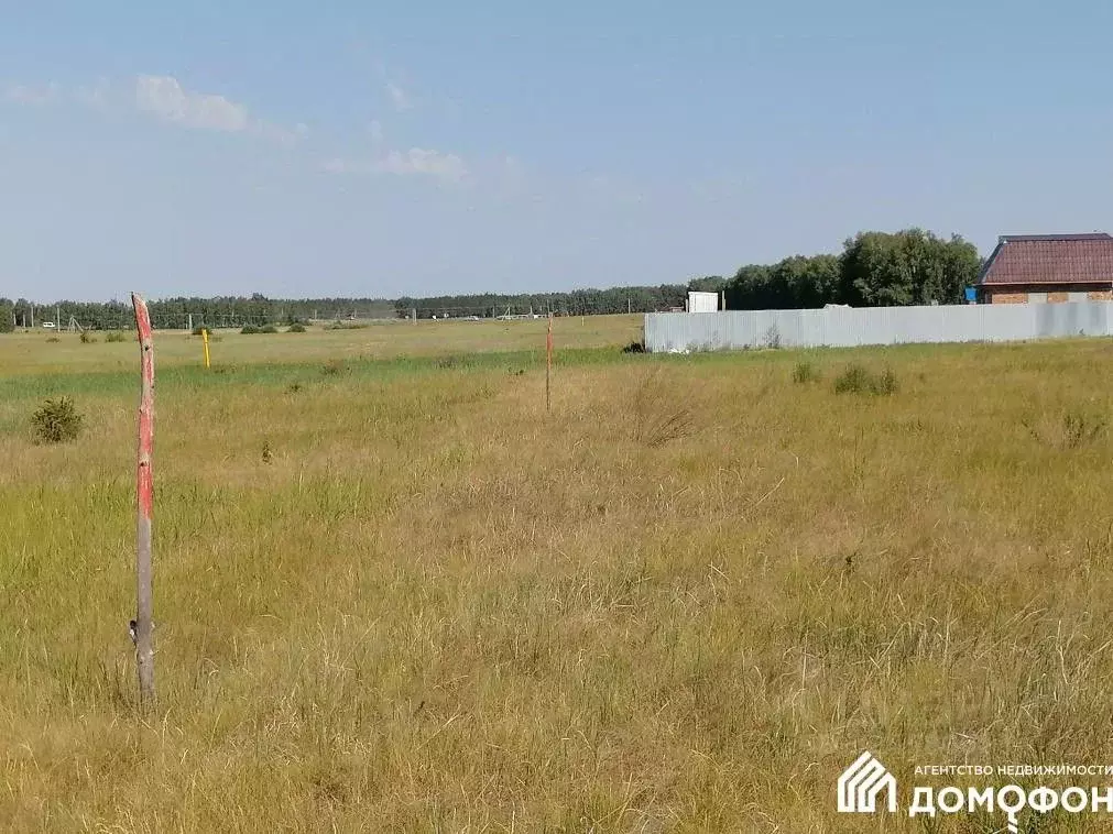 Участок в Омская область, Омский район, с. Усть-Заостровка ул. Мира ... - Фото 2