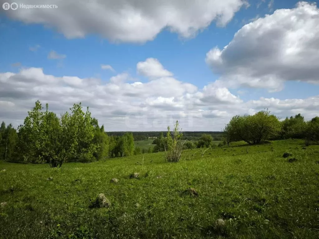 Участок в Брянский район, Чернетовское сельское поселение, деревня ... - Фото 0