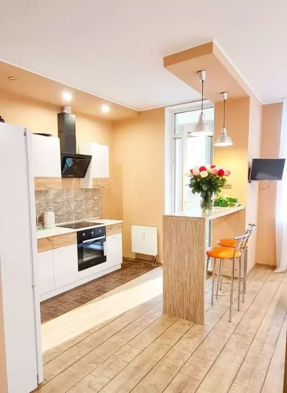 Студия Санкт-Петербург просп. Маршала Блюхера, 9к2 (27.0 м) - Фото 1