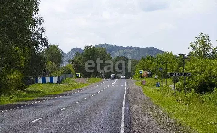 Участок в Алтай, Майминский район, Соузгинское с/пос, пос. Черемшанка ... - Фото 1