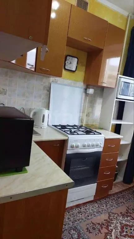 1-к кв. Омская область, Омск Парковый мкр, ул. Фугенфирова, 12 (32.0 ... - Фото 1