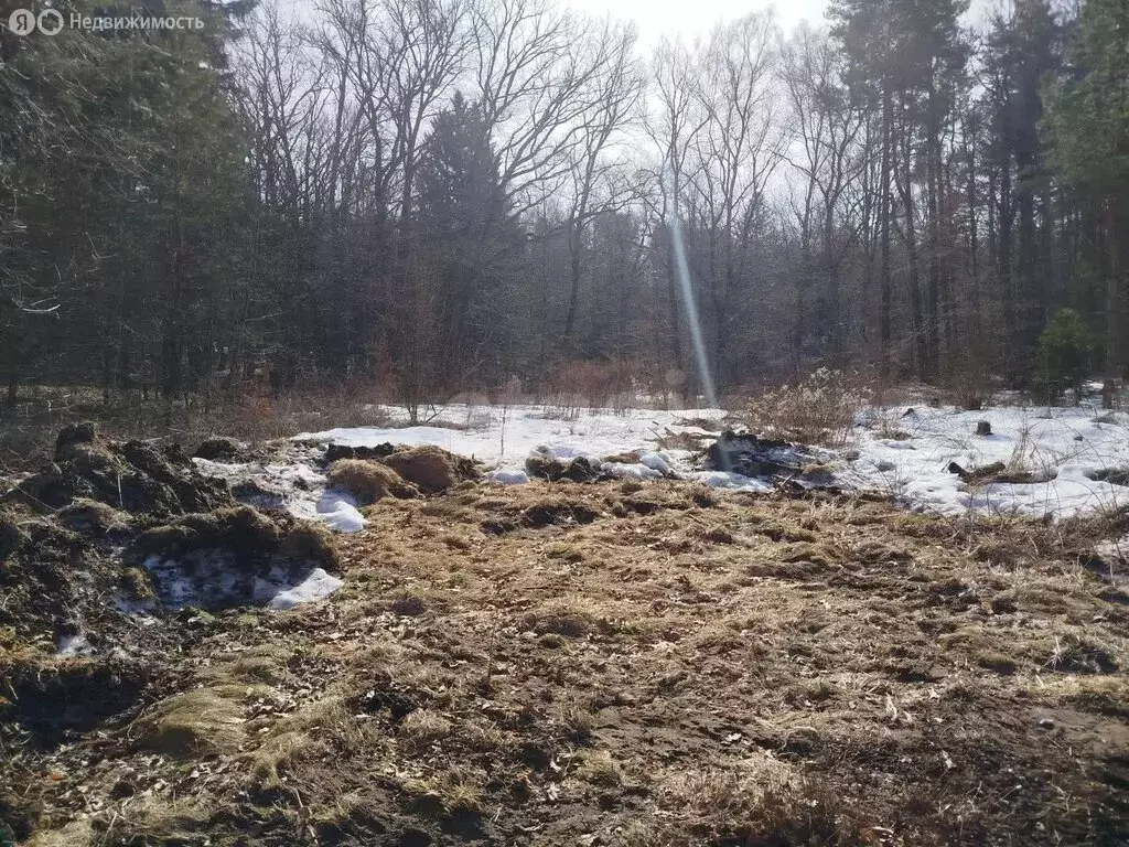 Участок в Ладушкин, Красноармейская улица (13 м) - Фото 1