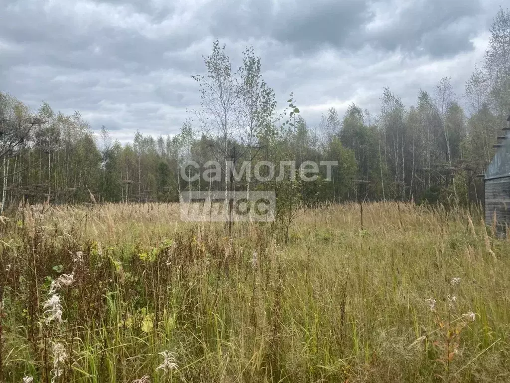 Участок в Московская область, Волоколамский муниципальный округ, д. ... - Фото 1
