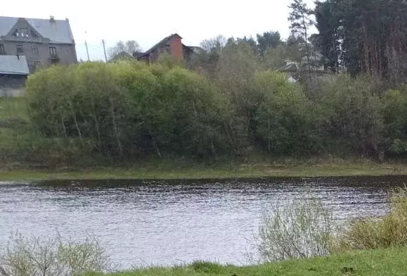 Участок в Тверская область, Калининский муниципальный округ, д. ... - Фото 1