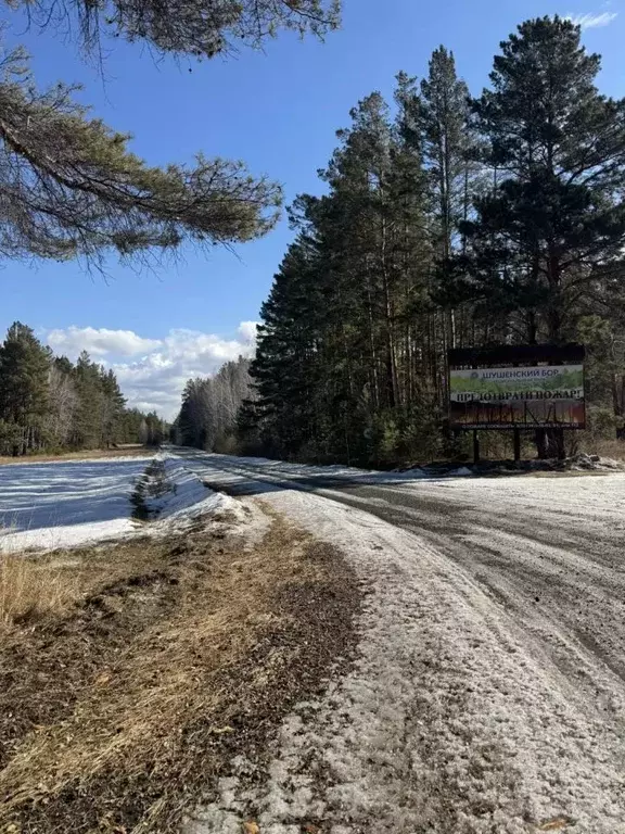 Участок в Красноярский край, Шушенское пгт, Строителей кв-л  (6.0 ... - Фото 1
