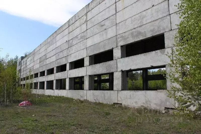 Помещение свободного назначения в Марий Эл, Юрино городское поселение, ... - Фото 0