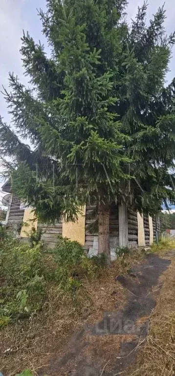 Дом в Ленинградская область, Подпорожье пос. Нижний Городок, ул. ... - Фото 2