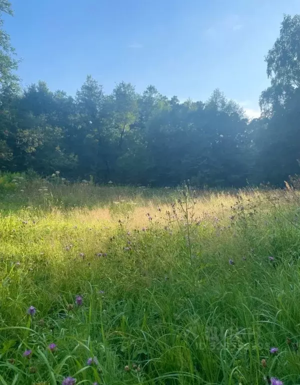 3-к кв. Москва пос. Рублево, ш. Обводное, 6 (56.7 м) - Фото 2