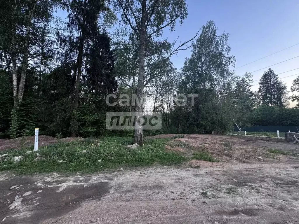 Участок в Московская область, Дмитровский муниципальный округ, ... - Фото 1