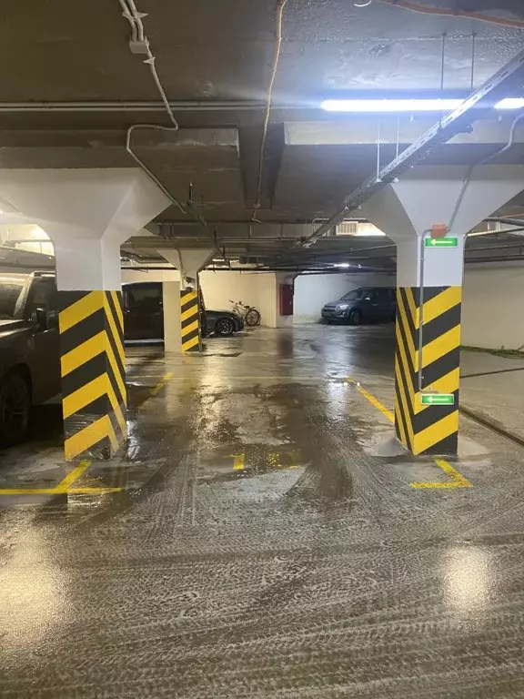 Гараж в Санкт-Петербург пос. Шушары, просп. Старорусский, 13к2 (17 м) - Фото 1