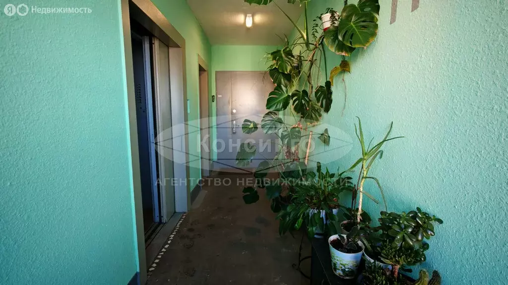 2-комнатная квартира: Москва, улица Дыбенко, 26к1 (54 м) - Фото 2