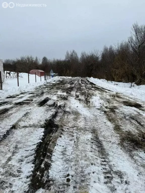 Участок в село Берёзово, Облепиховая улица (12 м) - Фото 2