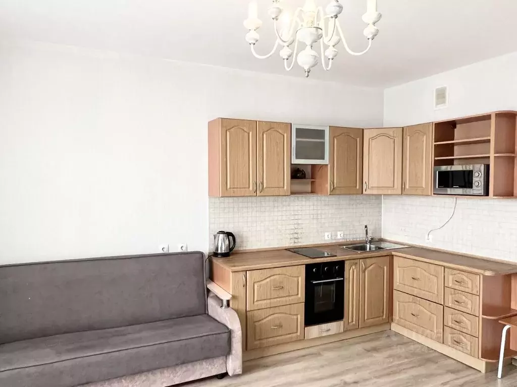 Студия Новосибирская область, Новосибирск ул. Писарева, 125 (29.0 м) - Фото 2