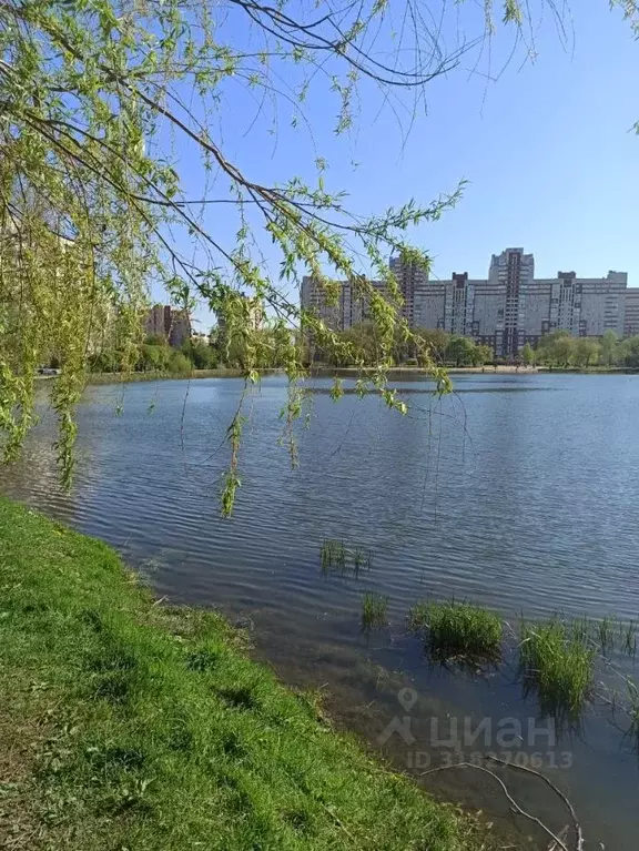1-к кв. Санкт-Петербург ул. Ивана Фомина, 15/5 (30.9 м) - Фото 0