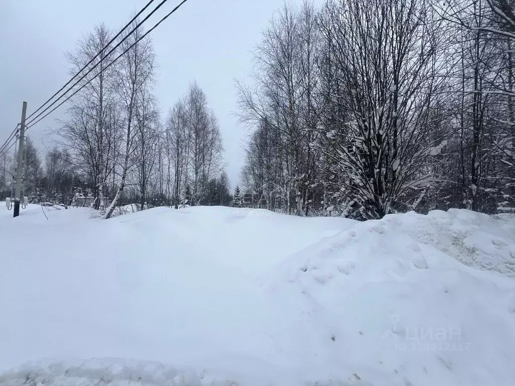 Участок, 6 сот., сельхоз (снт или днп) - Фото 1