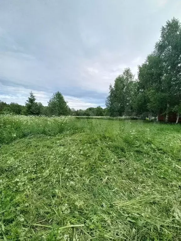 Дача 30 м на участке 27 сот. - Фото 1