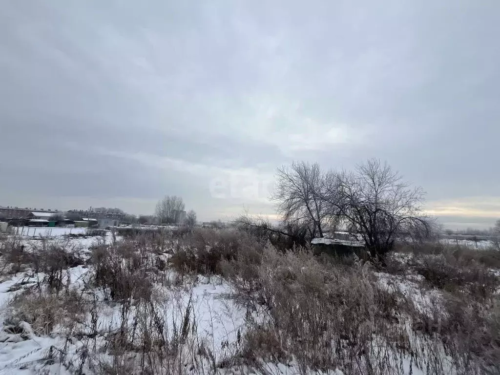 Участок в Новосибирская область, Новосибирский район, с. Криводановка, ... - Фото 0