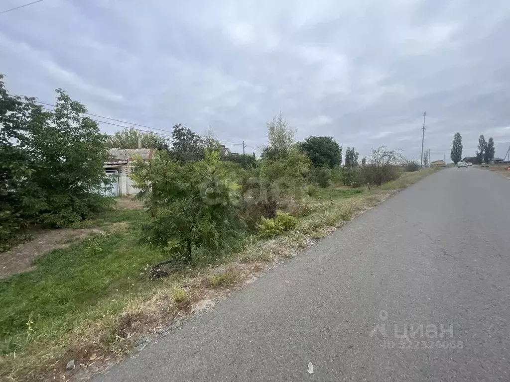 Участок в Белгородская область, Белгородский район, Новосадовское ... - Фото 1