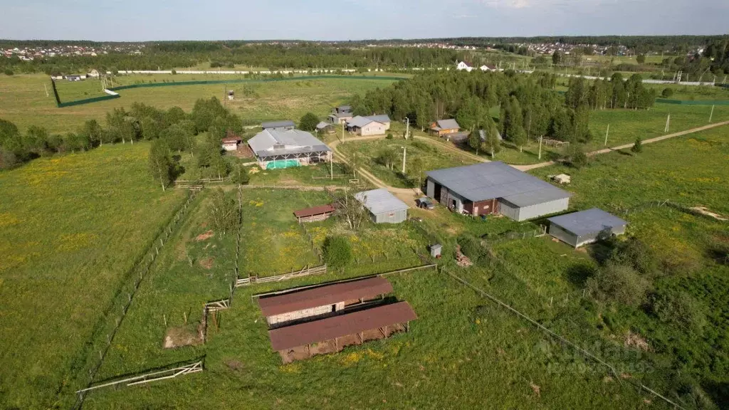 Участок, 2000 сот., фермерское хоз-во - Фото 1