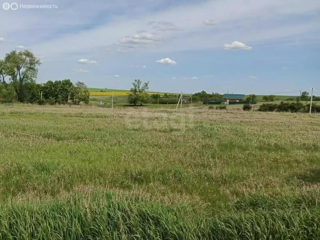 Участок в Тульская область, городской округ Новомосковск, деревня ... - Фото 1