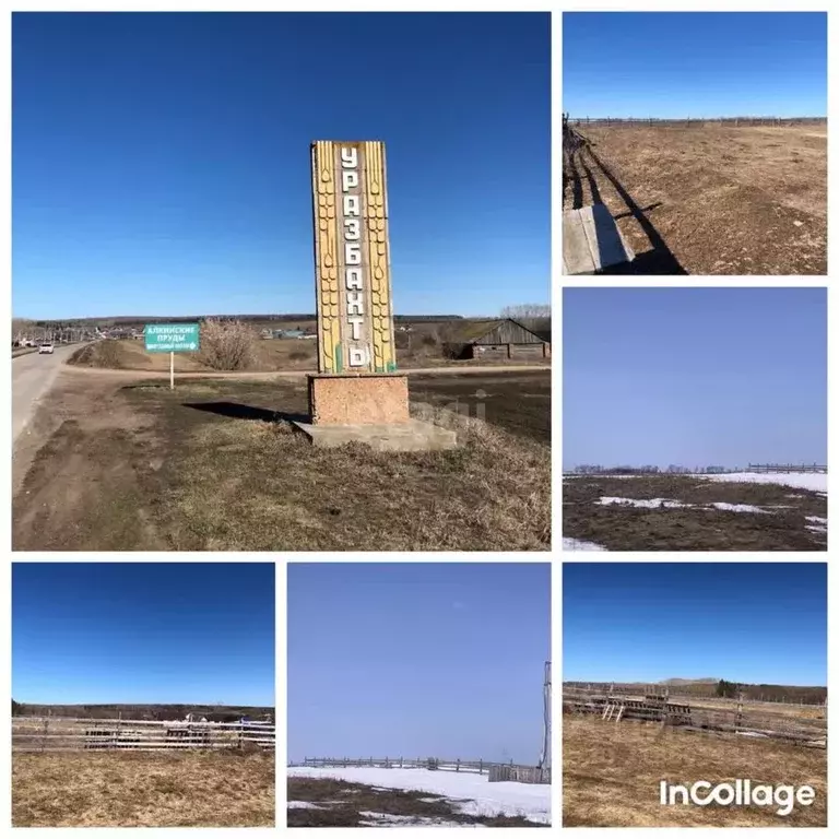 Участок в Башкортостан, Чишминский район, Алкинский сельсовет, с. ... - Фото 1