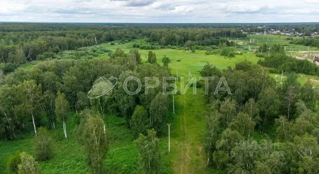 Участок в Тюменская область, Нижнетавдинский район, Строитель ТСН  ... - Фото 1