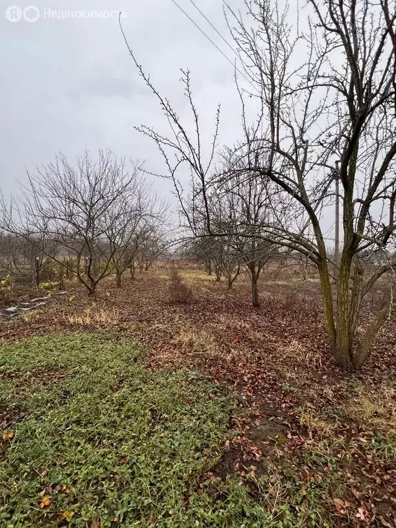 Участок в Семилукский район, село Перлёвка, Терновая улица (14.6 м) - Фото 2