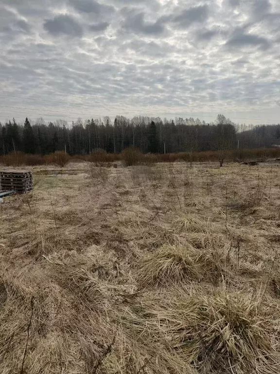 Участок 11 сот. (ИЖС) - Фото 0