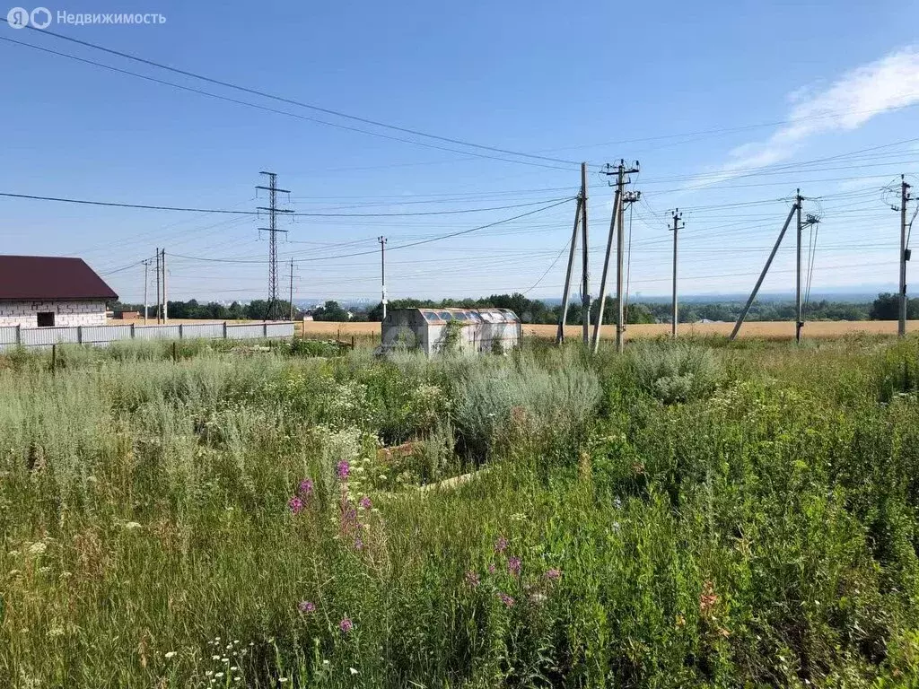 Участок в Жуковский сельсовет, СПК Звёздный (6 м) - Фото 2
