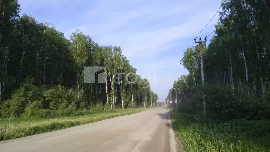 Участок в Новосибирская область, Новосибирский район, Криводановский ... - Фото 0
