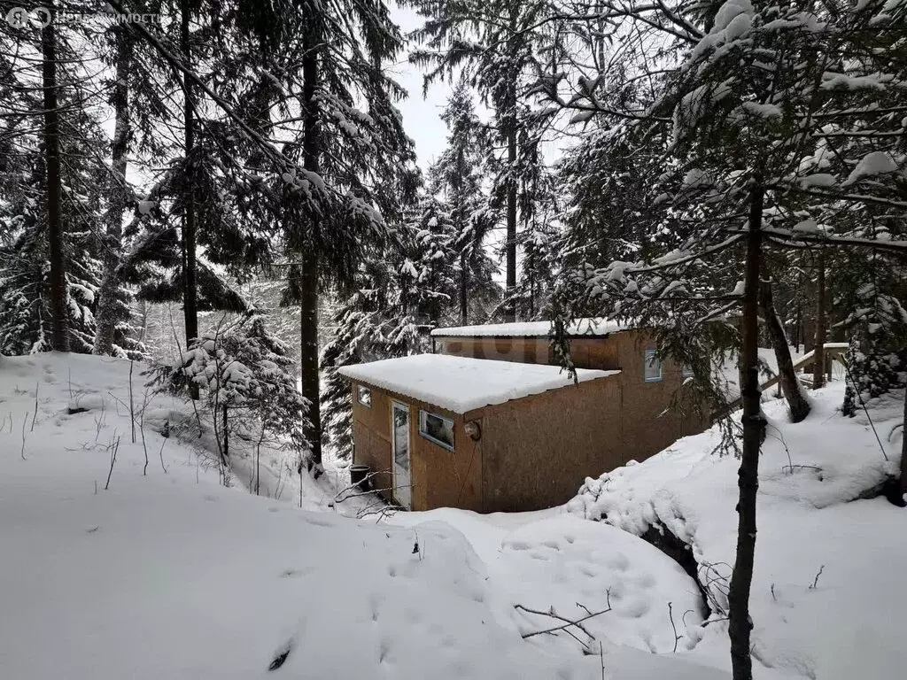 Участок в посёлок Репино, СНТ Ленгипроречтранс (19.5 м) - Фото 2