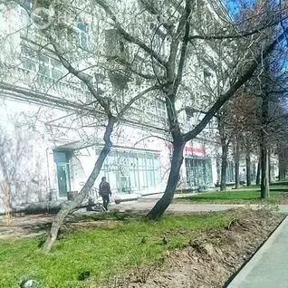 Помещение свободного назначения (254 м) - Фото 2